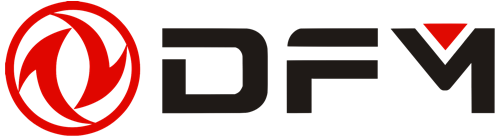 DFM